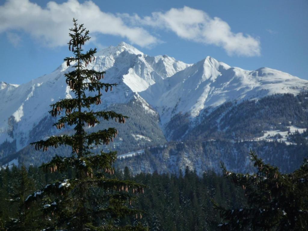 Moutain View Leilighet Laax Eksteriør bilde